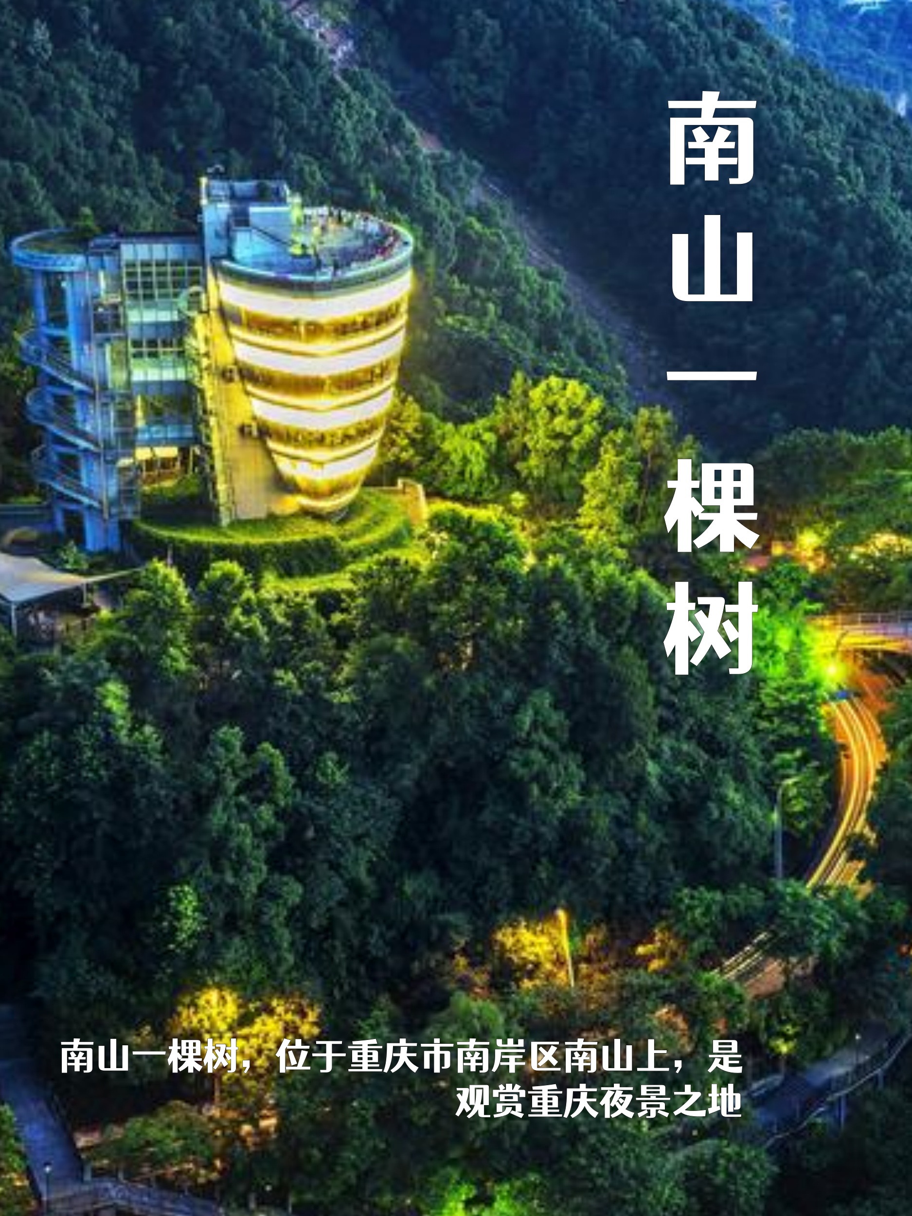 南山一棵树